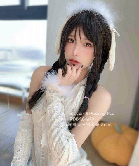 乘龙赘婿