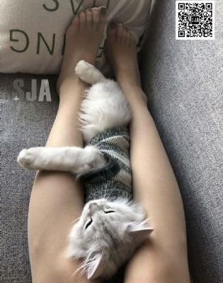 慈禧野史