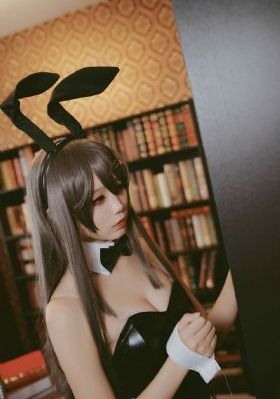 汪汪队立大功十季免费版