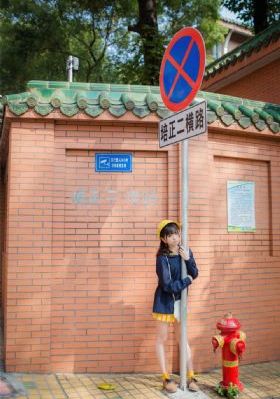 斛珠夫人电视剧免费观看全集