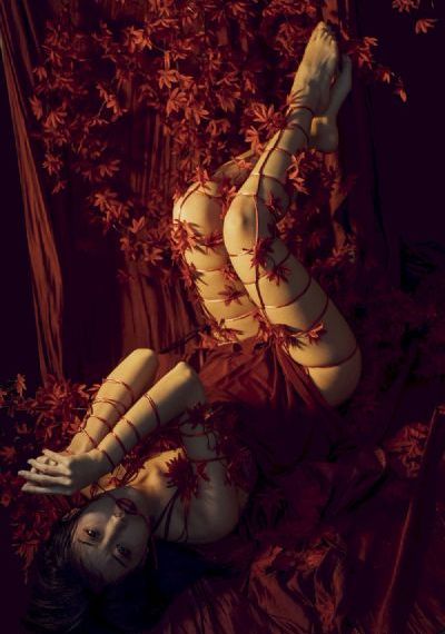 《繁花》全集免费观看
