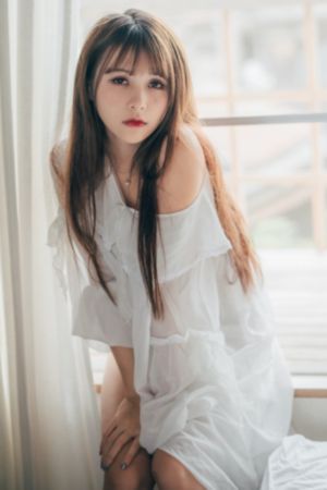 岁岁青莲