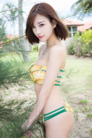 扶弟魔电视剧全集完整版