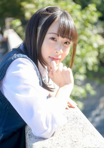 电视剧雪豹免费观看完整版