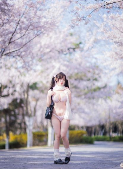 小花电视剧免费全集40集