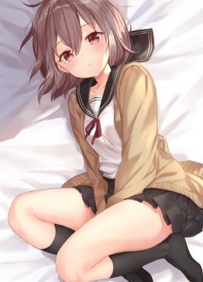 野花视频免费看
