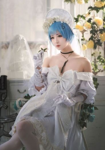 茶杯狐 cupfox 茶杯狐