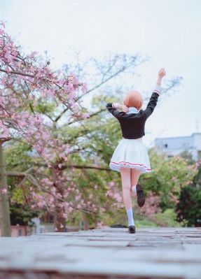 回家的诱惑 电视剧免费完整版