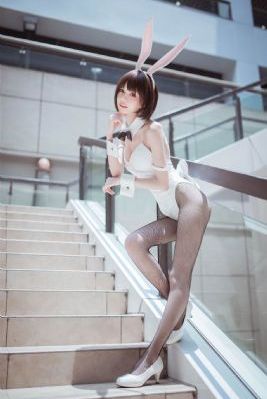 平凡之路电视剧完整免费下载观看